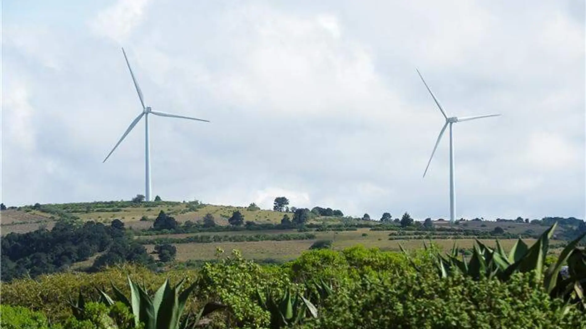 CORTESÍA IBERDROLA